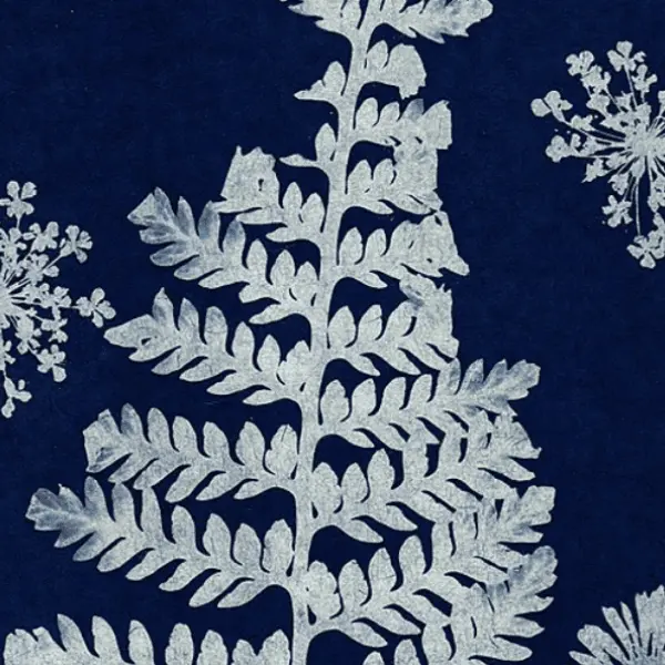 DIPTICK redimensionnement visuels - 7