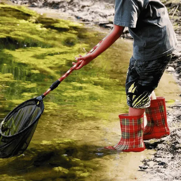 DIPTICK redimensionnement visuels - 8