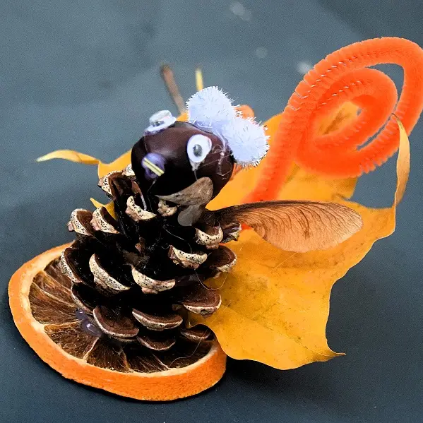 Découverte nature en famille - Déco d'hiver et couronnes d'hiver