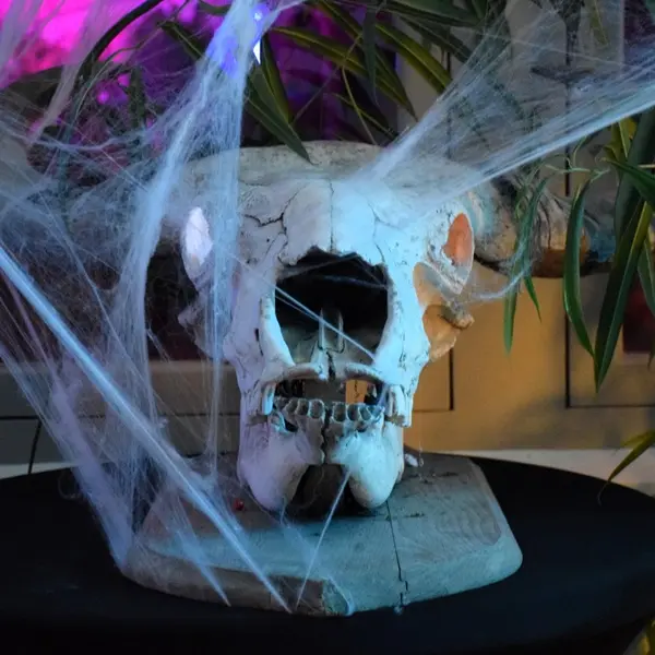 Découverte nature en famille - Halloween