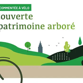 Decouverte-du-patrimoine-arbore----Ville-du-Havre