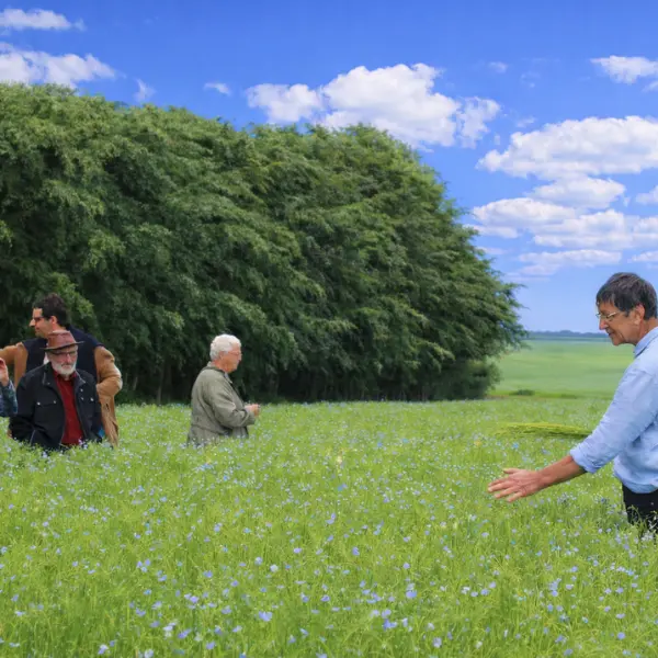 Design sans titre - 3