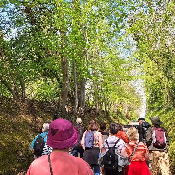 Design sans titre - 74