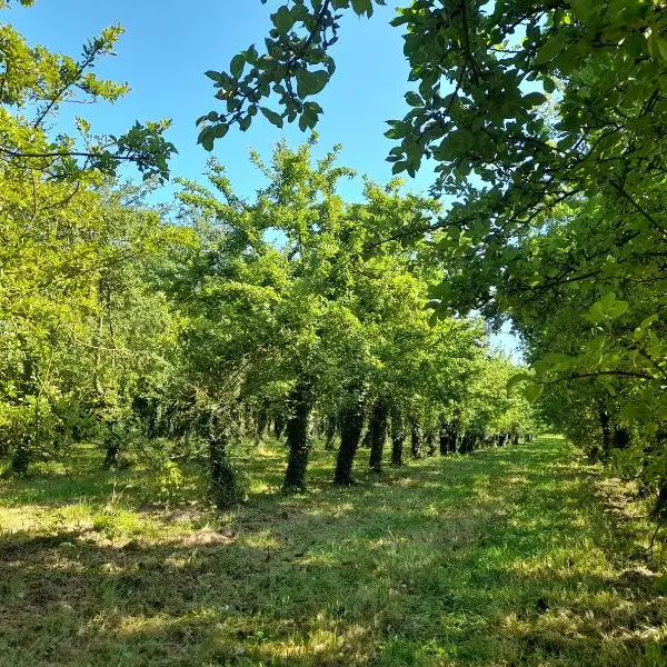 Design sans titre - 75