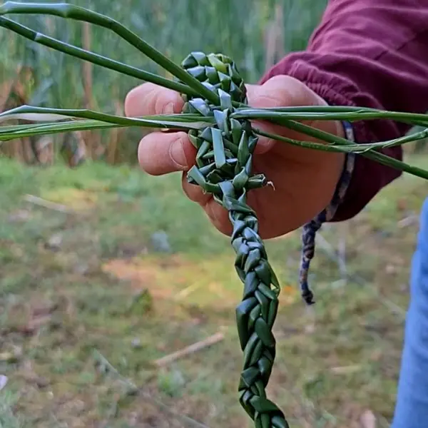 Design sans titre - 44