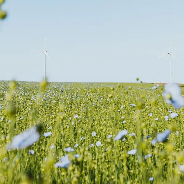 Design sans titre - 43