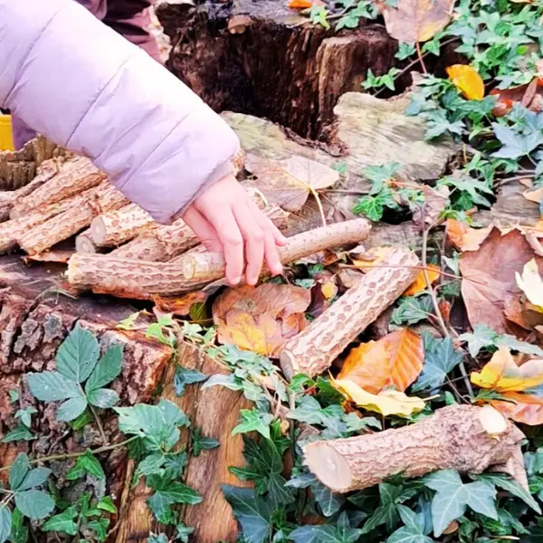 Design sans titre - 49