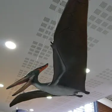 Dinosaure