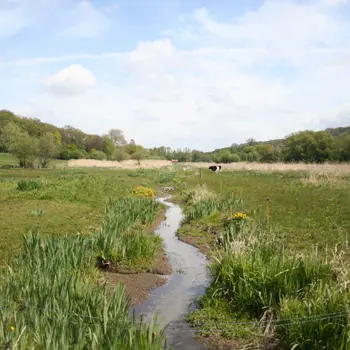 Domaine du Colmoulins