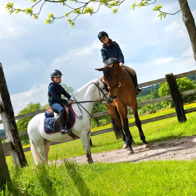 EQUI NORMANDIE HARAS DU LOUP