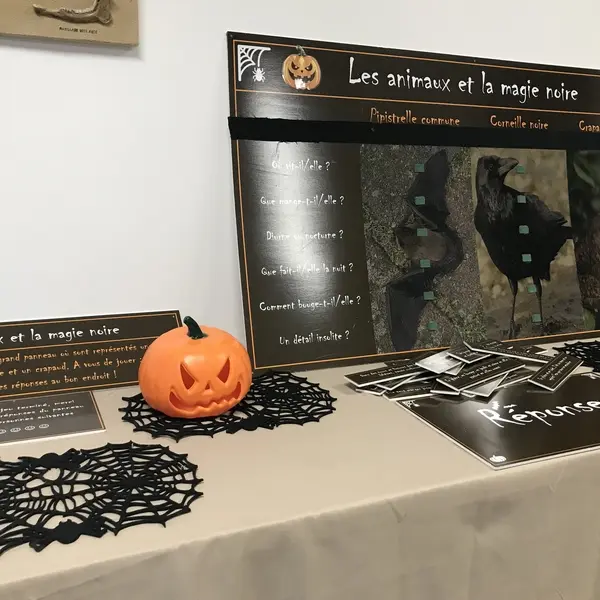 EcrettevilleLesBaons_LesAnimauxHalloween©YNT-2025