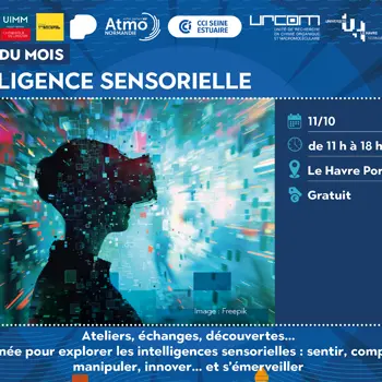 Escale du mois - Intelligence sensorielle