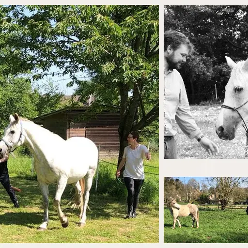 Equicoaching autrement