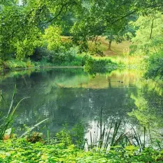 Balade autour des étangs d'Arques-la-Bataille