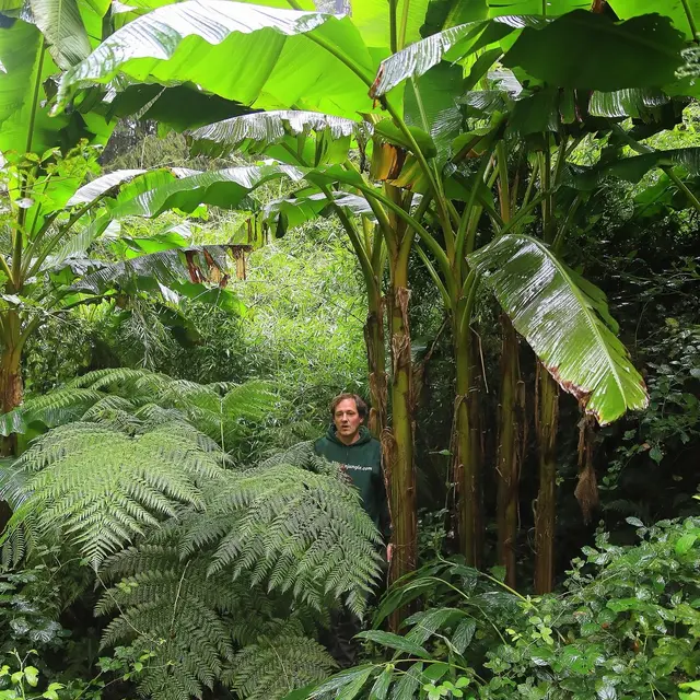 Eu_Jardin-jungle_Jungle-1@M.BOULANGER_2021
