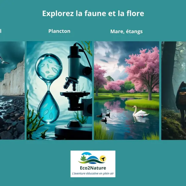 Explorez la faune et la flore en Normandie - Dieppe et environs