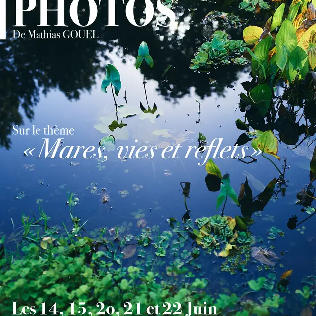 Expo_photos_Longueil_affiche