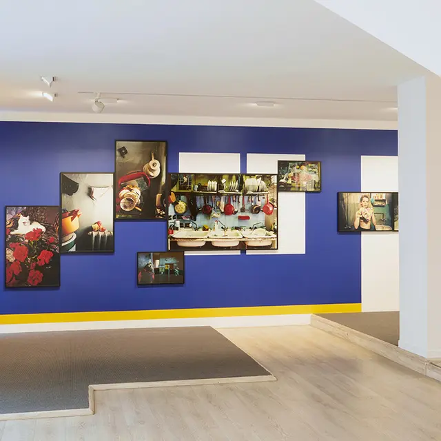 Exposition de Francoise Huguier Matiere terrestre au Centre photographique Rouen Normandie mai septembre 2025 1