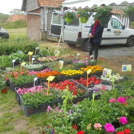 FOIRE AUX PLANTES ST AUBIN SUR MER -PHOTO JM GRANGE-redim