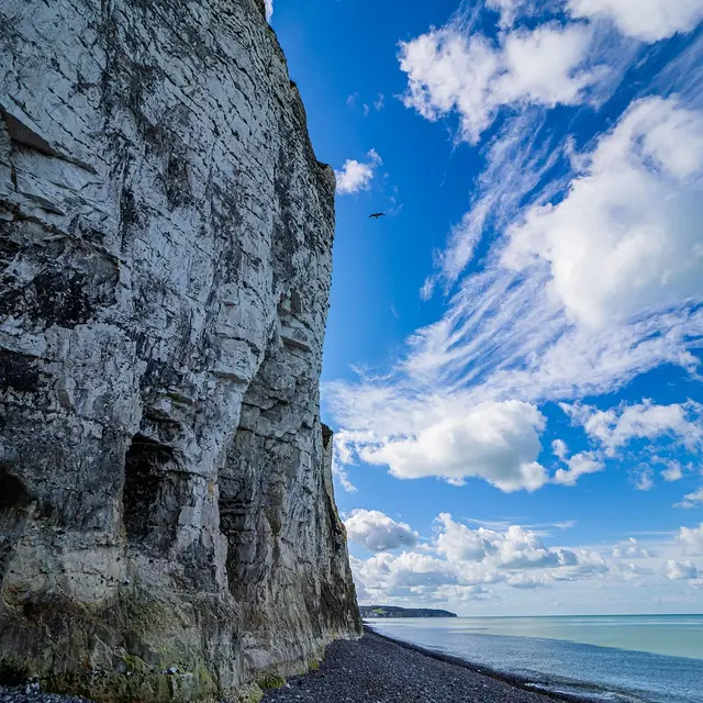 Falaises vivantes à Dieppe