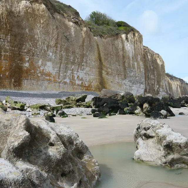 Faune et flore du littoral à Ste Marguerite