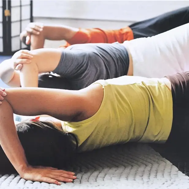 Feldenkrais