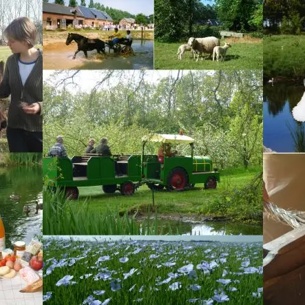 Ferme au fil des saisons - Amfreville les Champs (8)
