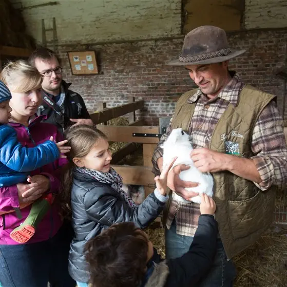 Découverte des animaux de la ferme