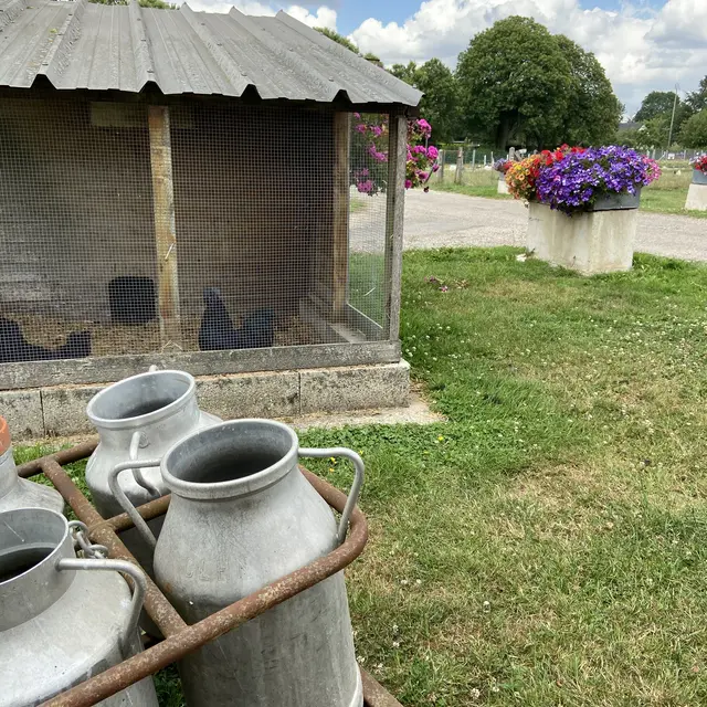 Ferme des Chataigniers - 2020 - CATENAY -(3)