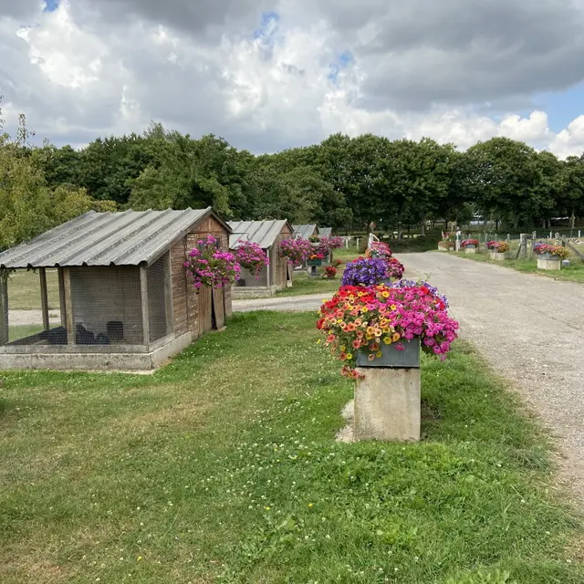 Ferme des Chataigniers - ©AL - 2020 - CATENAY - produits du terroir - ferme (2)