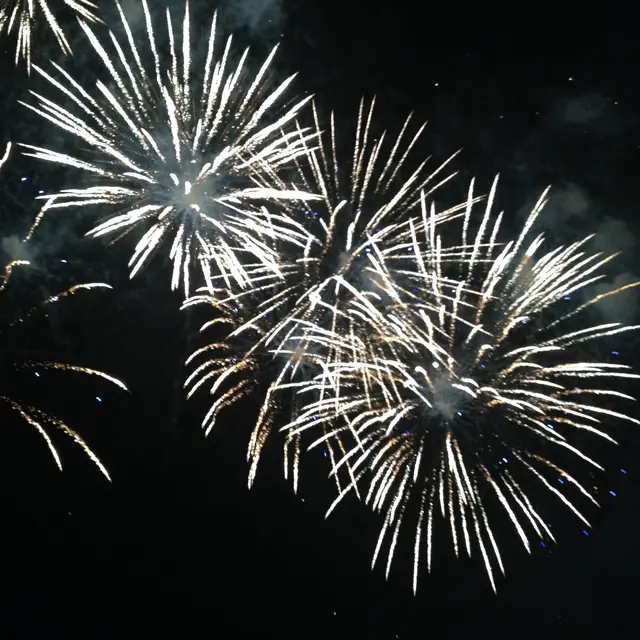 Feu d'artifice  Saint-Vaast15 août 2016 ©GDBDO (28)