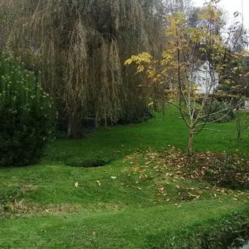 Fontenay au fil de l’eau