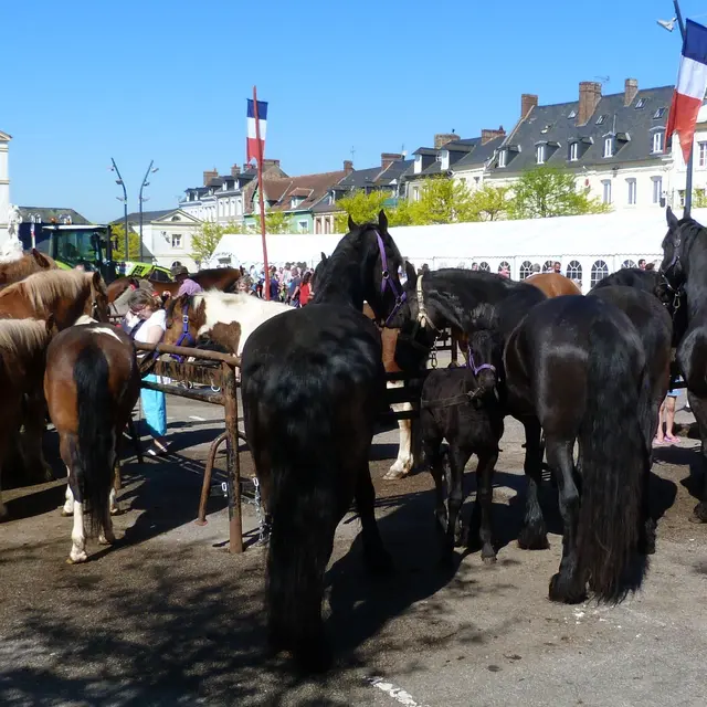 Foire-Agricole-Bacqueville-en-Caux---Photos-mairie--3-