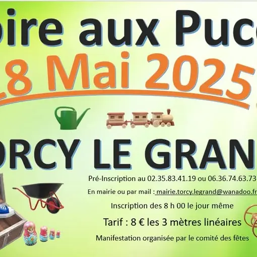 Foire aux puces Torxy 2025