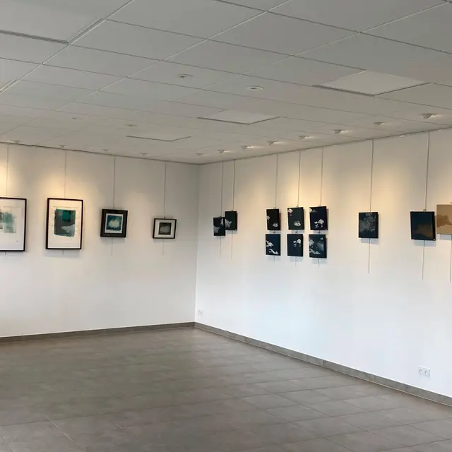 Françoise Dauchot expo