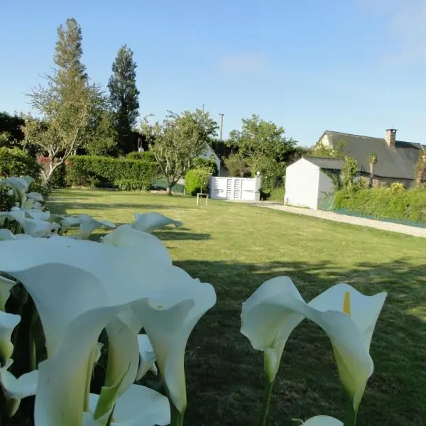 Arums et Silex