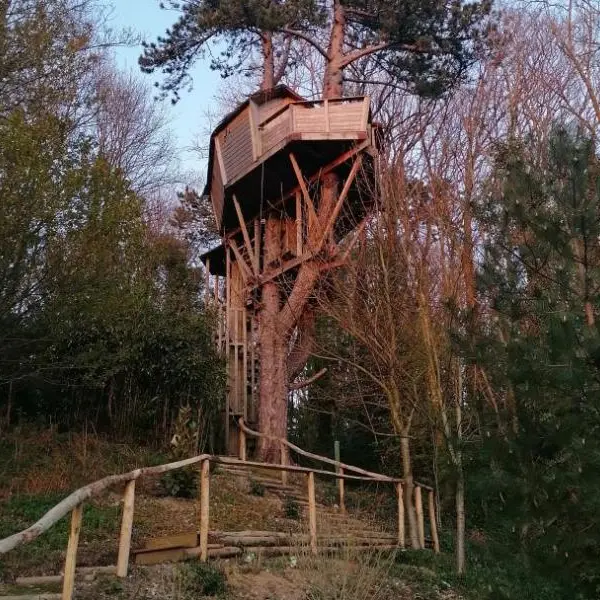 Sherwood Tree