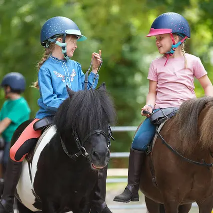Poneys