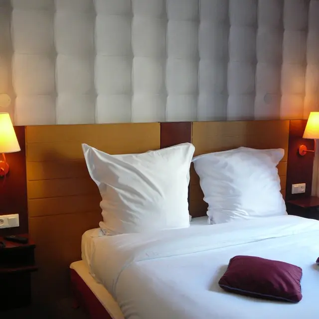 HOTEL 1er CONSUL ROUEN  (1)