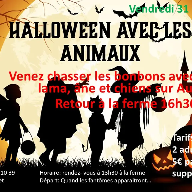 Halloween-effet-des-fees.2025