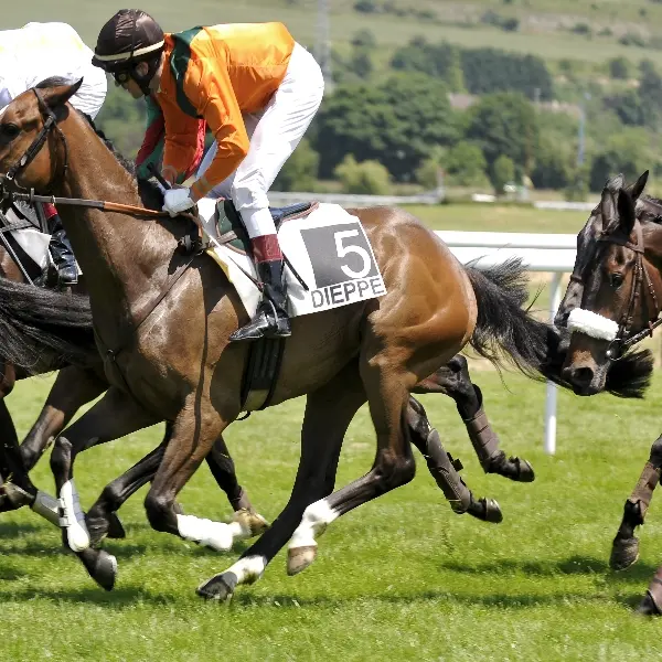 Hippodrome de Dieppe