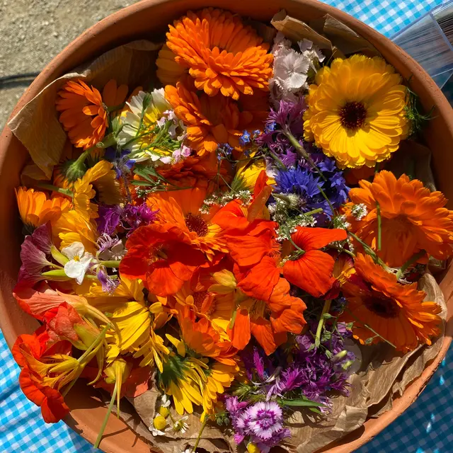 Assiette de fleurs