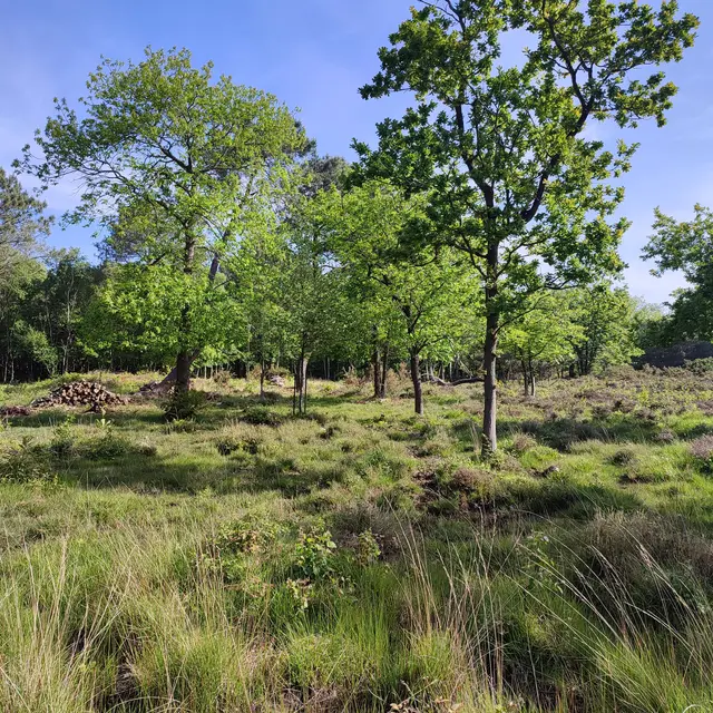 Mission Nature au Bois des Communes