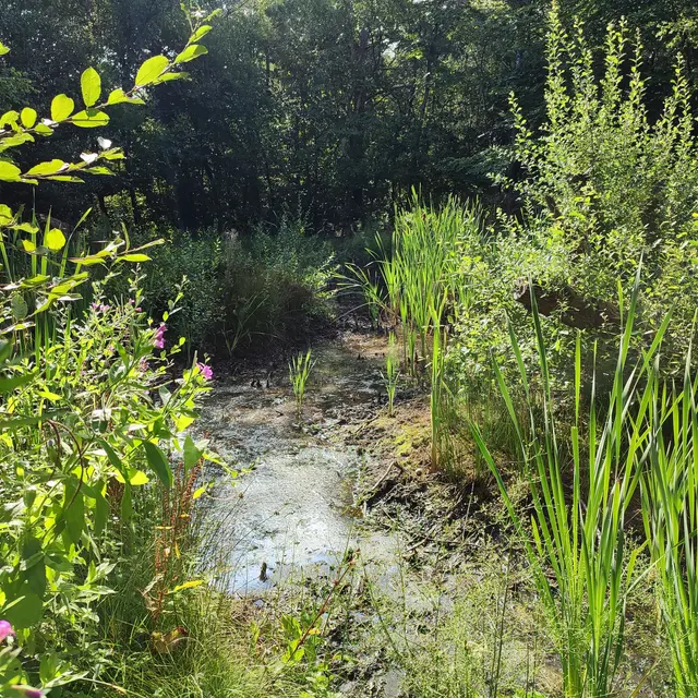Balade contée au Cap d'Ailly
