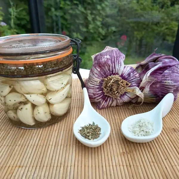 ALYFERM - FECAMP - 2025