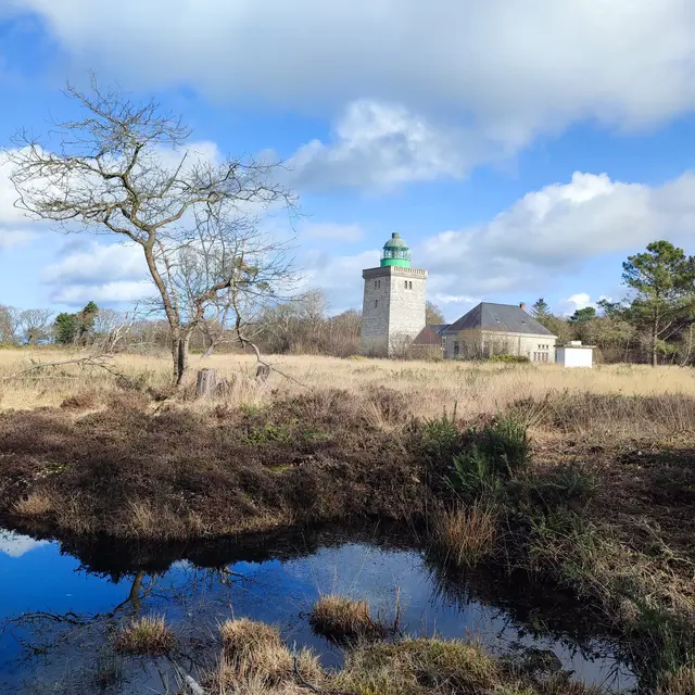 Le Cap d'Ailly en hibernation