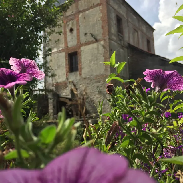 Moulin Arbalète Fleurs
