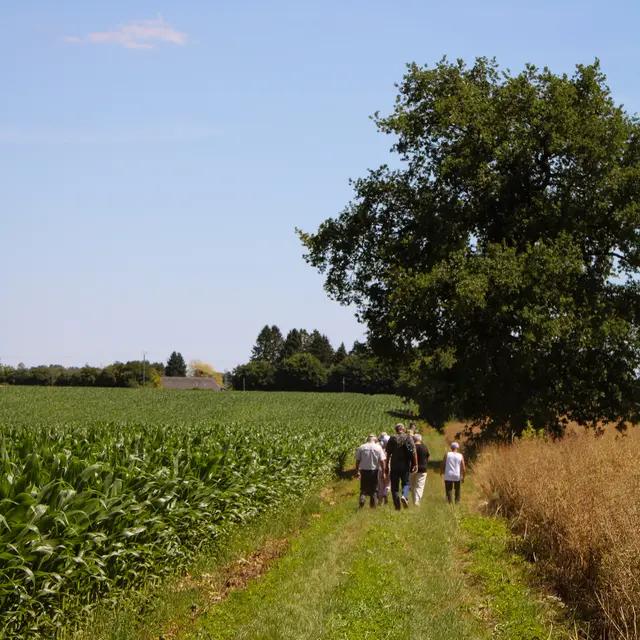 Randonnée à Gaillefontaine