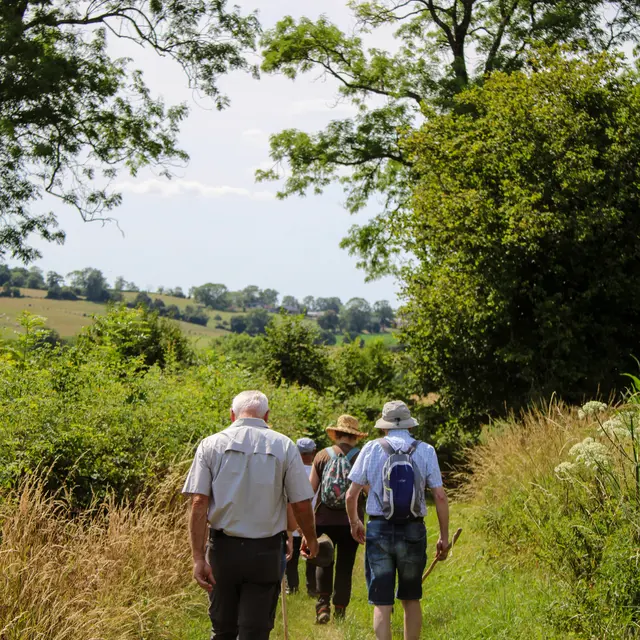 Randonnée accompagné Gaillefontaine