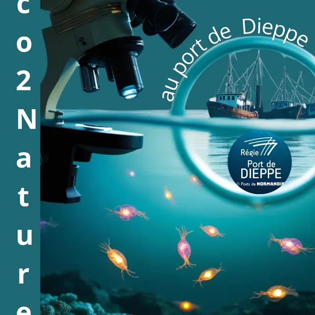 Image plancton